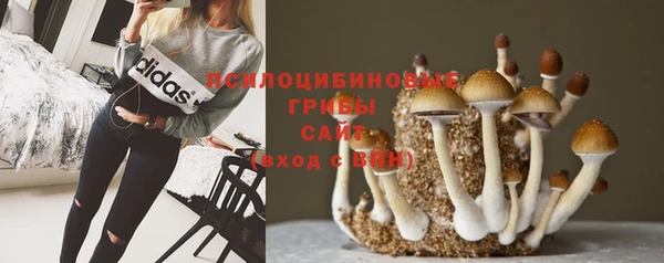 меф Нефтегорск