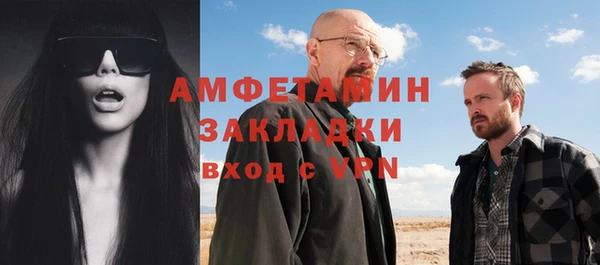 сатива Надым