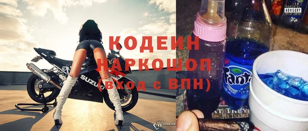 сатива Надым