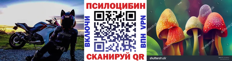 купить  цена  Нахабино  Галлюциногенные грибы Psilocybine cubensis 
